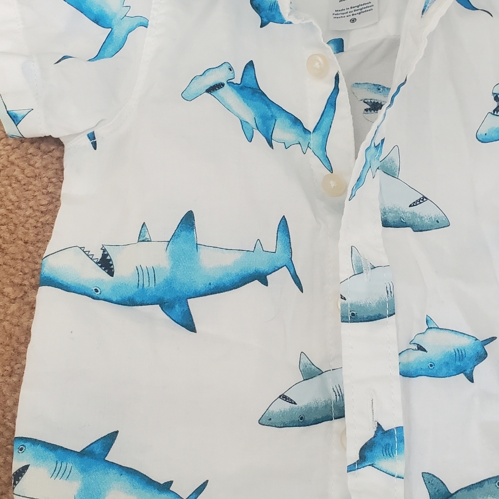 Buttoned Down Shark Shirt - Picture 5 of 7